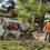 Tree Removal And Its Environmental Impact